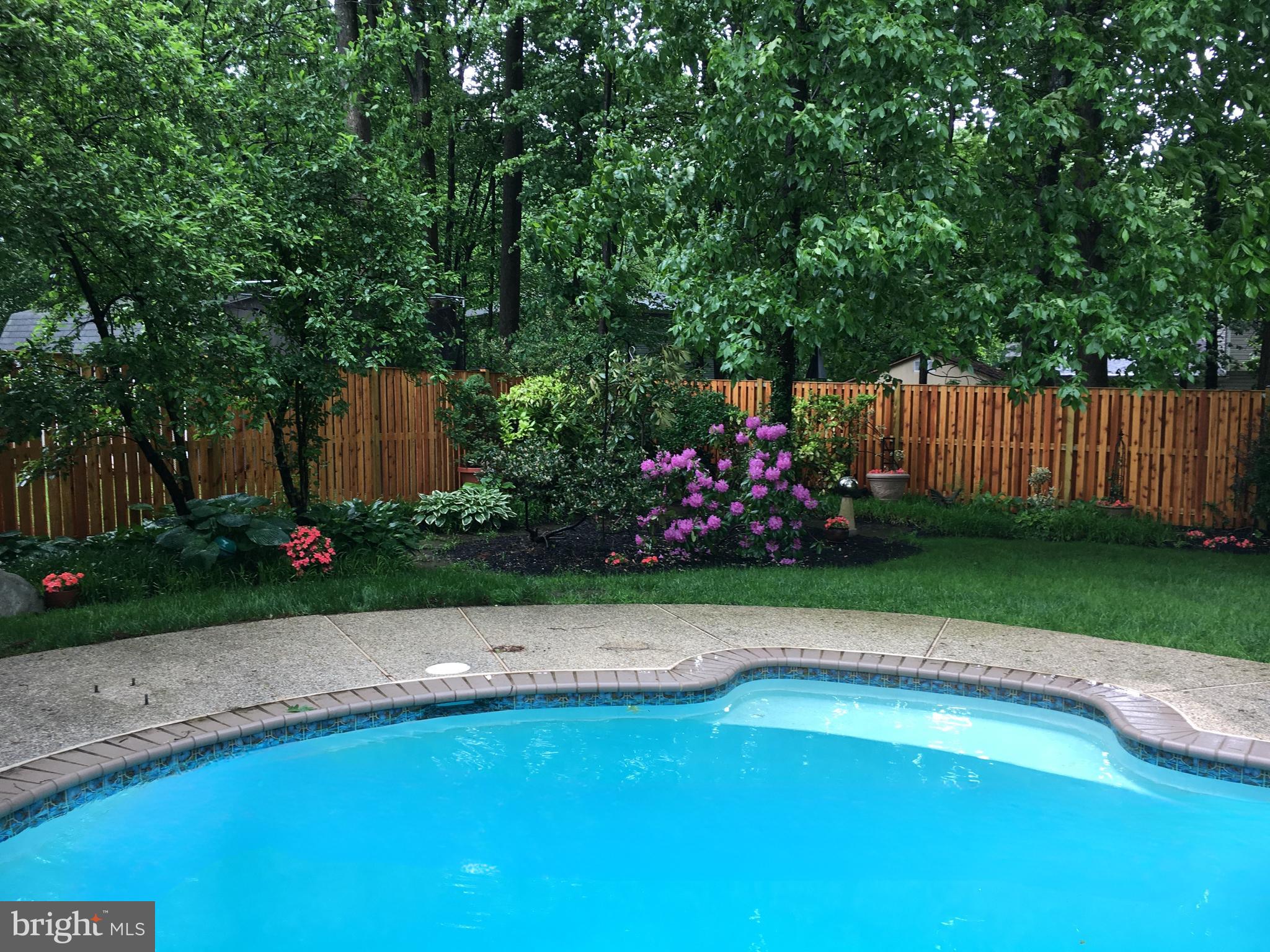 1017 Windmill Lane Silver Spring, MD 20905 - Photo 3 of 8 Spring Exterior- Self Cleaning Pool