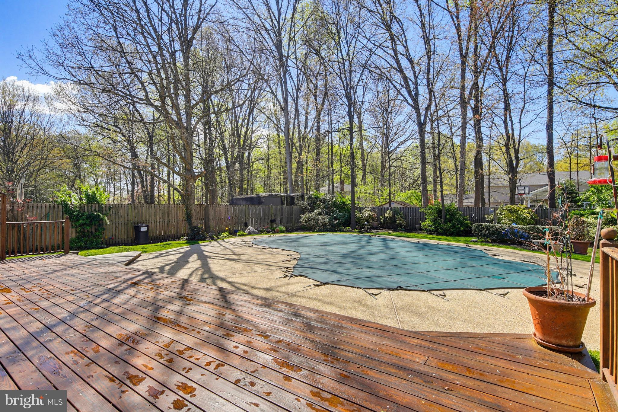 1017 Windmill Lane Silver Spring, MD 20905 - Photo 41 of 57 a view of a backyard with plants and trees