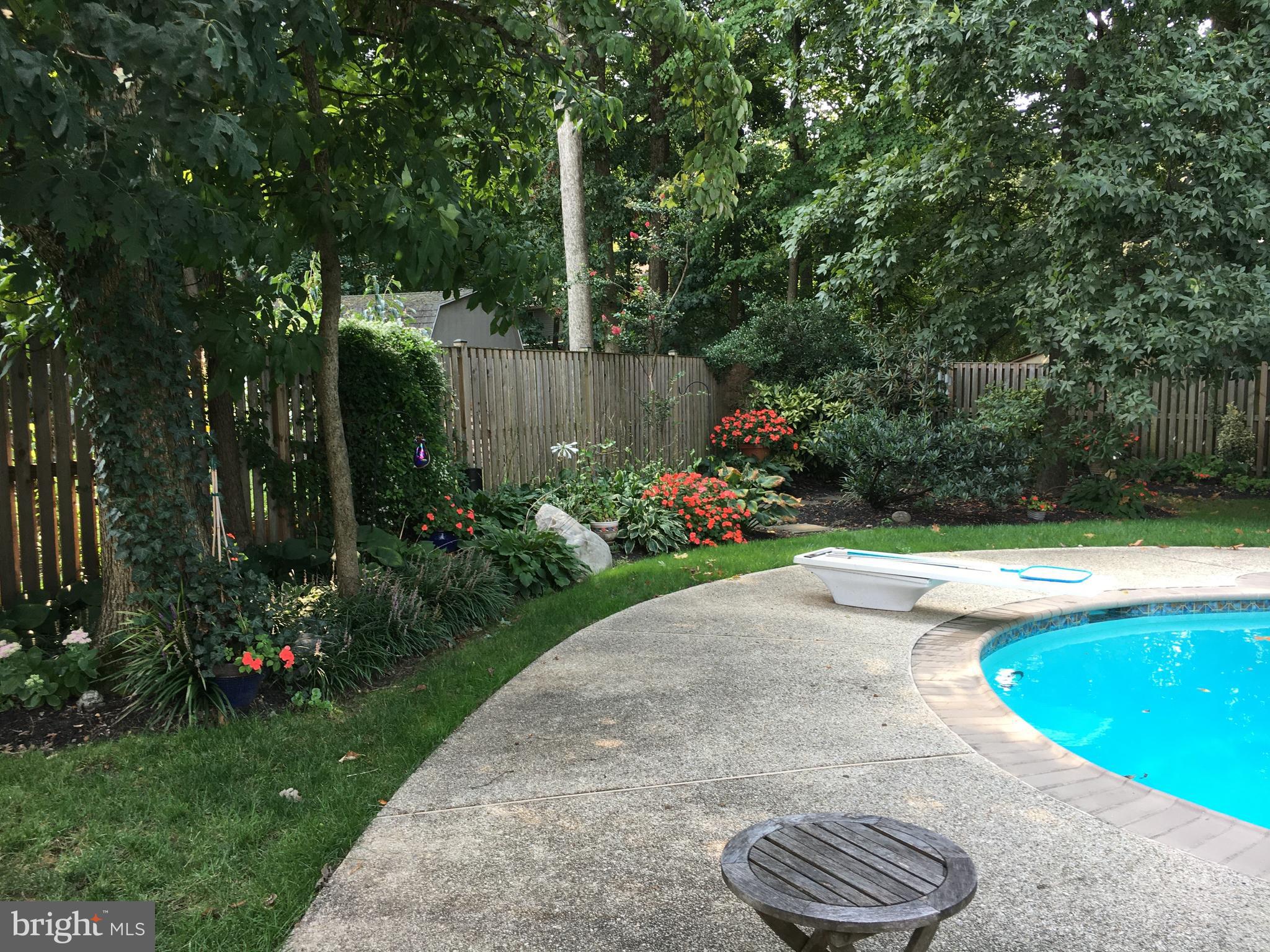 1017 Windmill Lane Silver Spring, MD 20905 - Photo 50 of 57 a view of a garden with plants and large trees