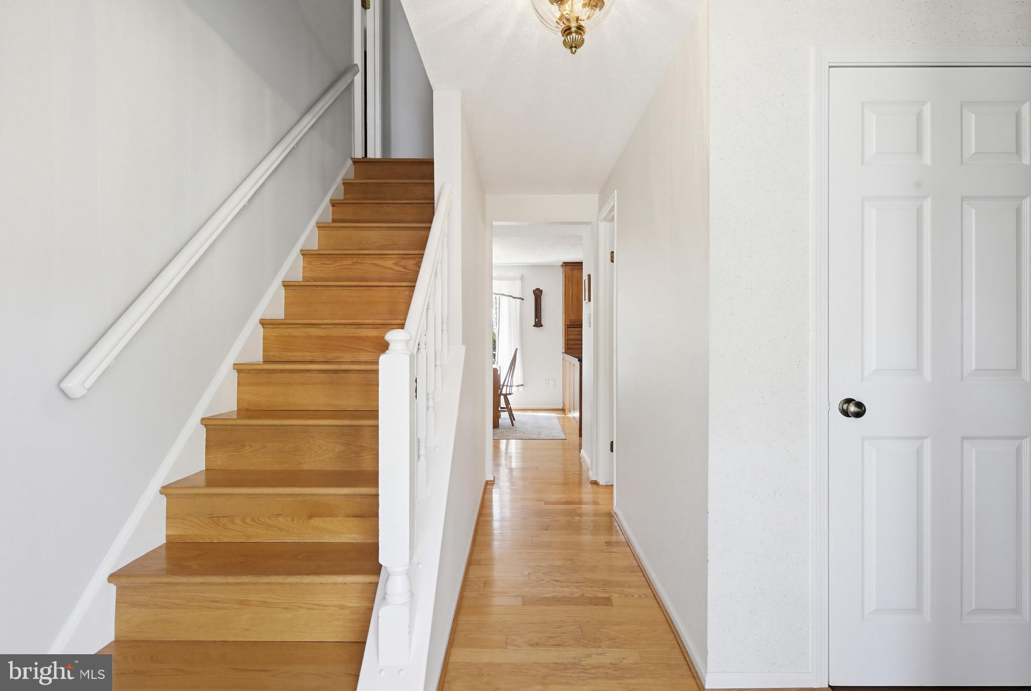 1017 Windmill Lane Silver Spring, MD 20905 - Photo 9 of 57 a view of a hallway with wooden floor and entryway