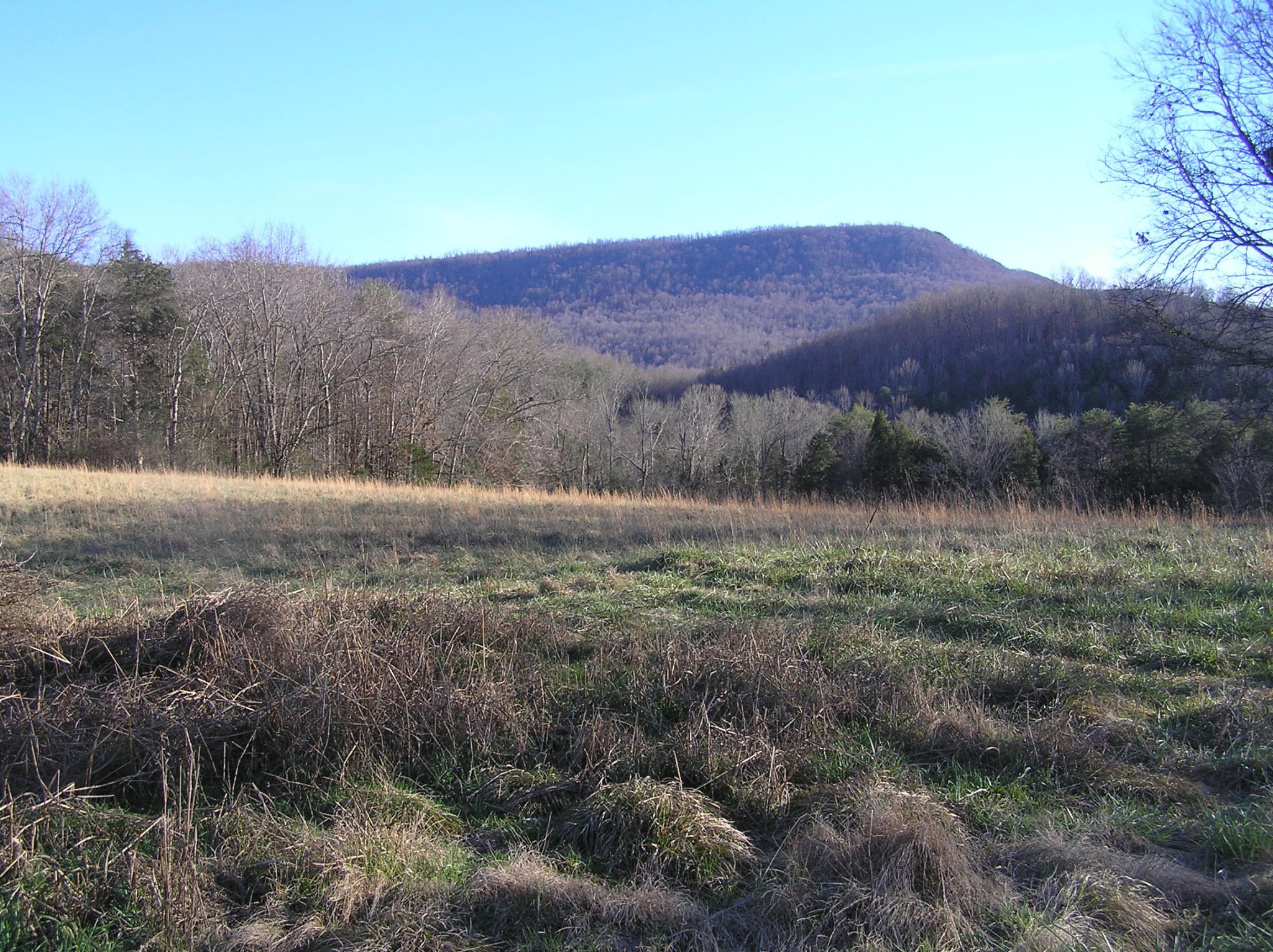 4114 Lower East Valley Road Dunlap, TN 37327 - Photo 88 of 100
