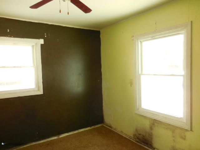 1307 Wayside Road Kalamazoo, MI 49048 - Photo 7 of 16 263-312745-Bedroom 1