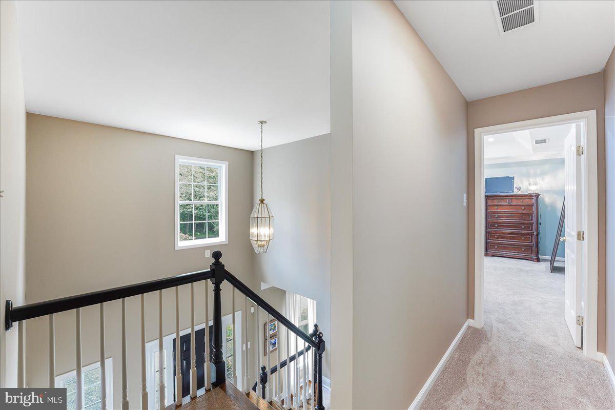 101 Hadleys Mill Run Kennett Square, PA 19348 - Photo 23 of 54