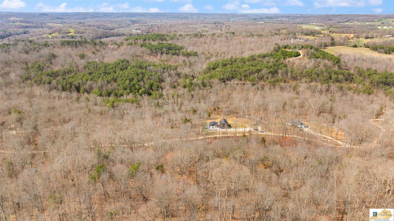 945 Ted Logsdon Road Clarkson, KY 42726 - Photo 84 of 95 Gallery Image 84
