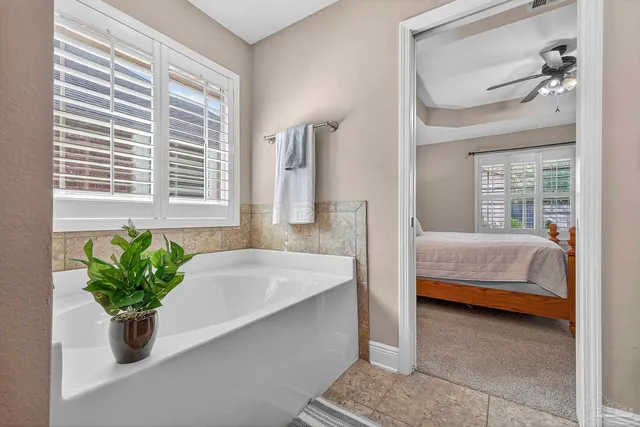 a living room with a bed and a potted plant