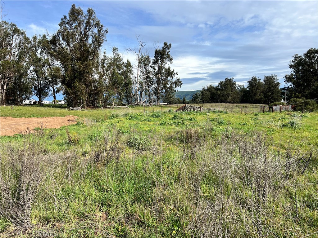 a view of a yard with an trees