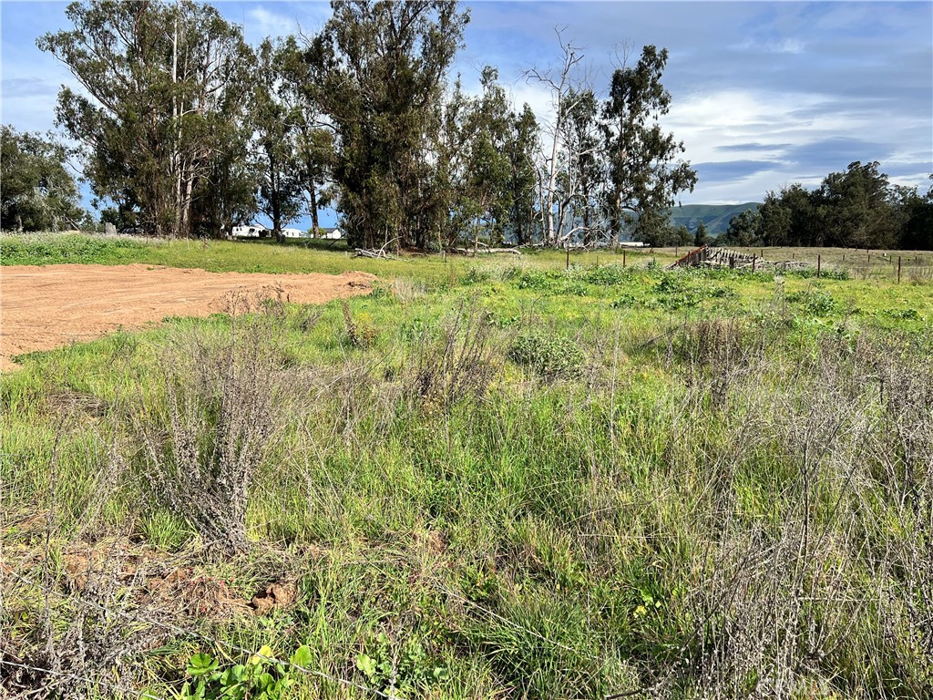 0 Honey Grove Lane Nipomo, CA 93444 - Photo 6 of 10 a view of a yard with a trees