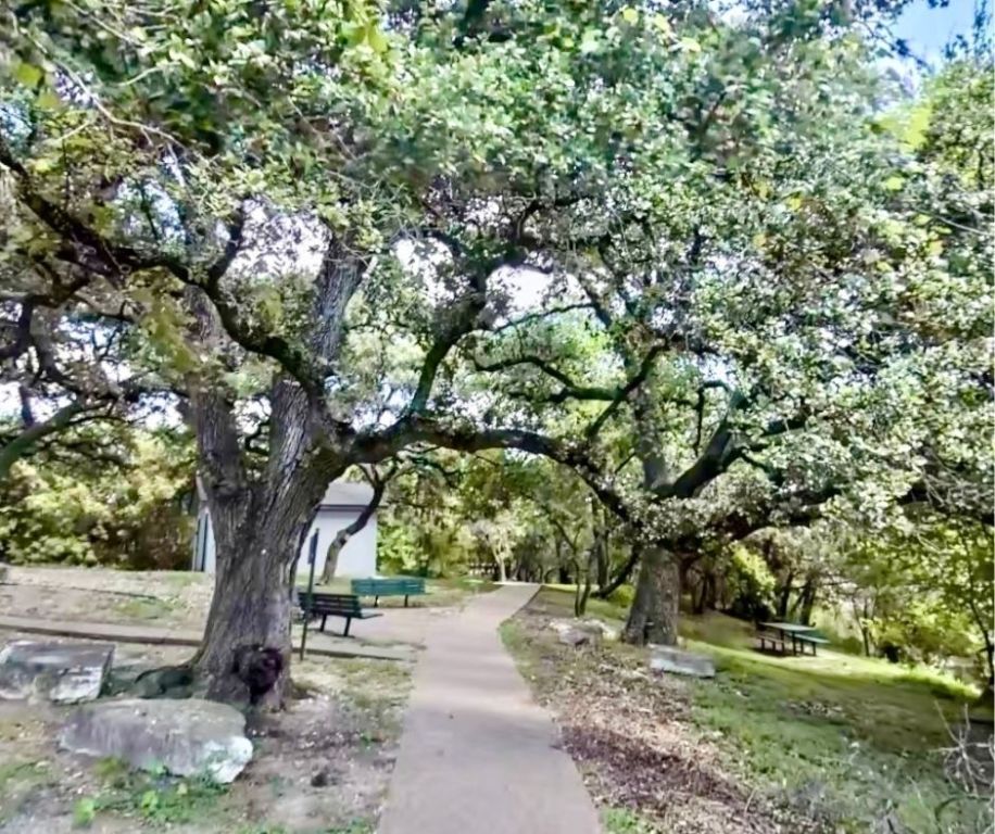 12166 Metric Boulevard, Unit 143 Austin, TX 78758 - Photo 11 of 11 a tree in a yard with large trees