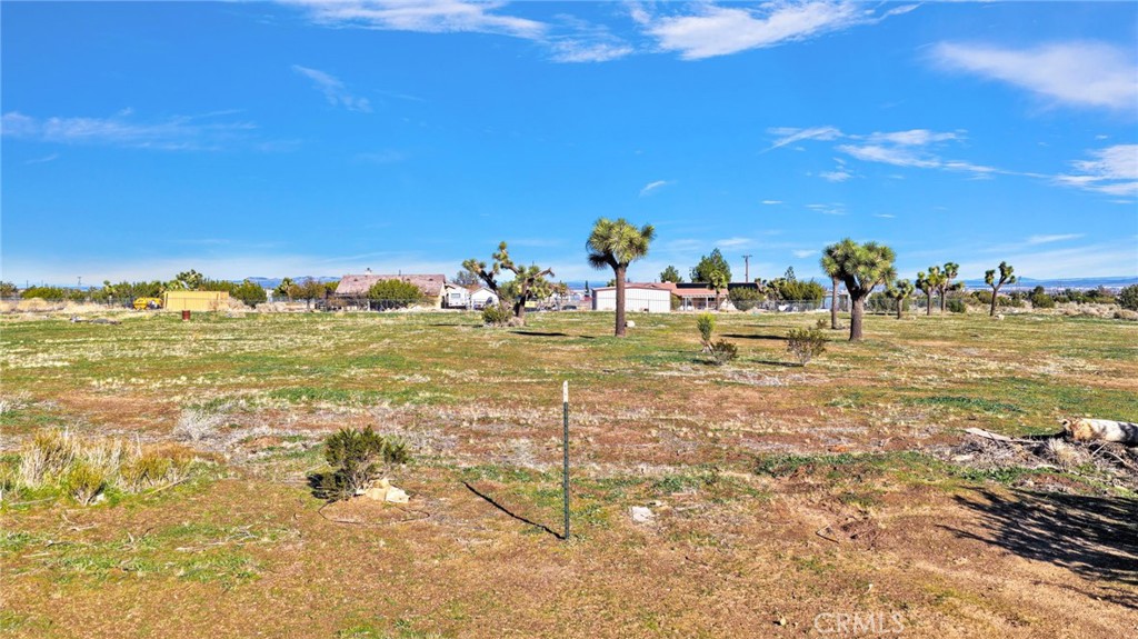 8790 Mesa Street Phelan, CA 92371 - Photo 12 of 14