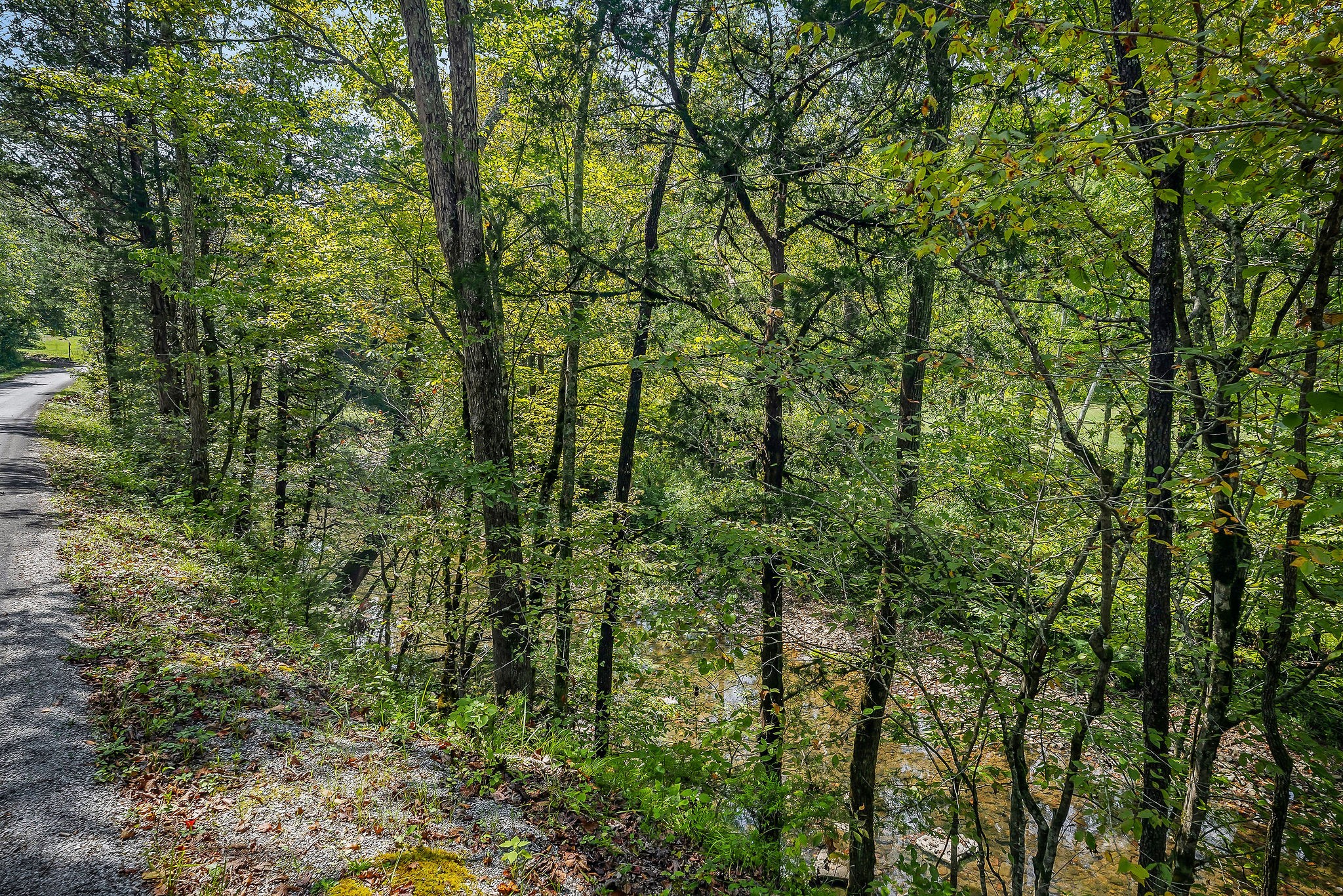 461 Shiloh Road Crawford, TN 38554 - Photo 14 of 15