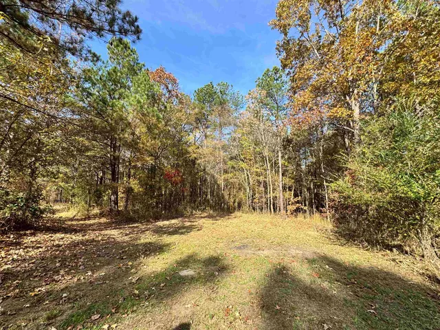 a view of large yard