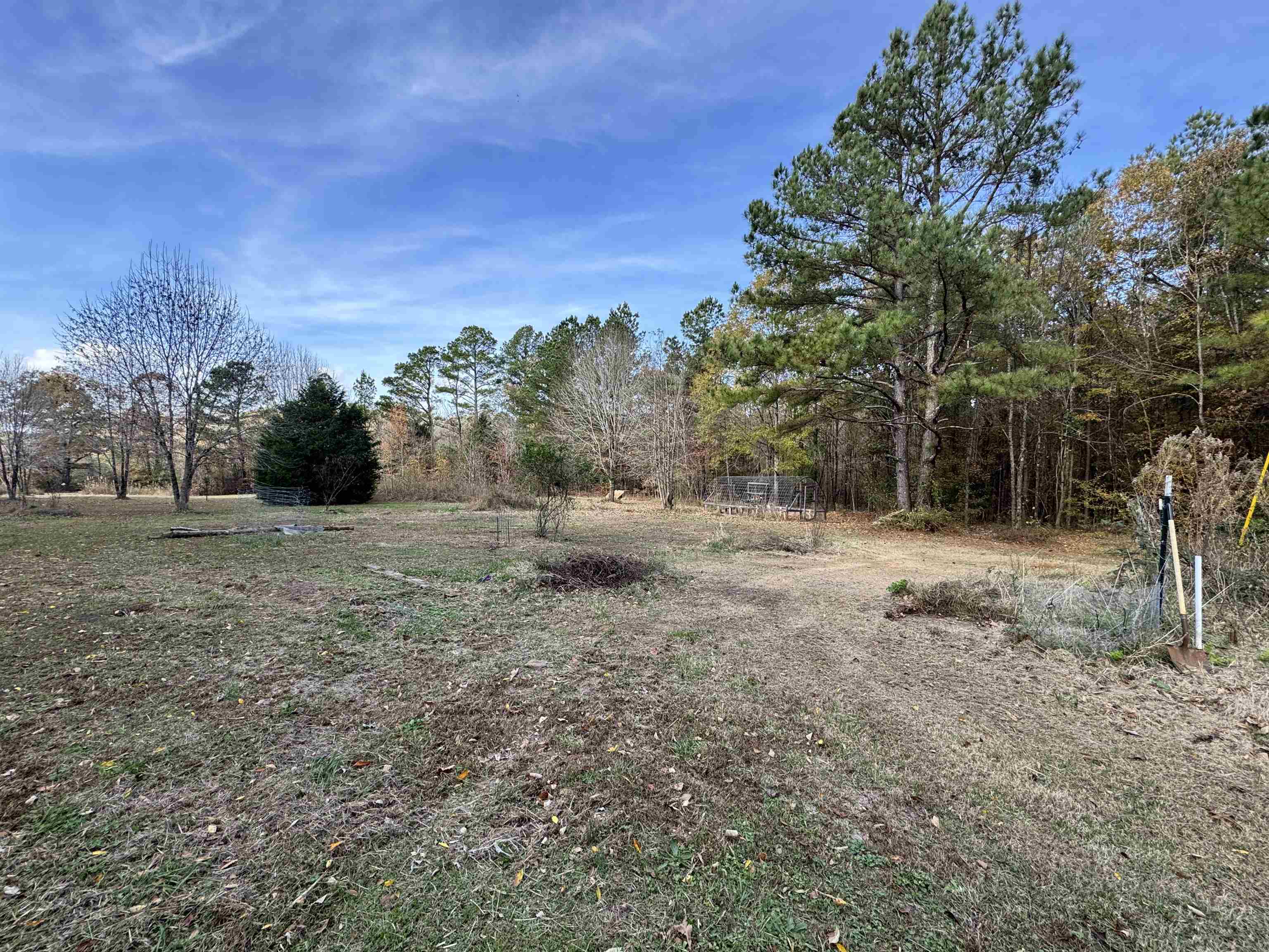 855 Beason Drive Morris Chapel, TN 38361 - Photo 20 of 21 a view of dirt yard with a tree