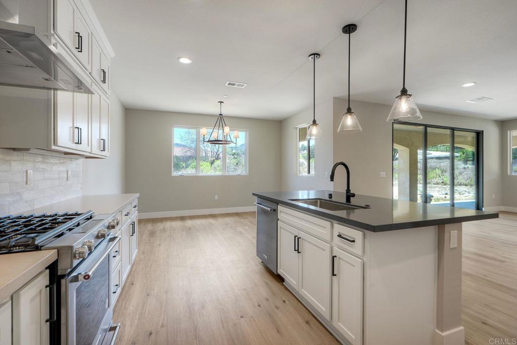12073 Via Trevi, Unit LOT 2 Lakeside, CA 92040 - Photo 21 of 33 a kitchen with stainless steel appliances granite countertop a stove a sink dishwasher a refrigerator and white cabinets with wooden floor