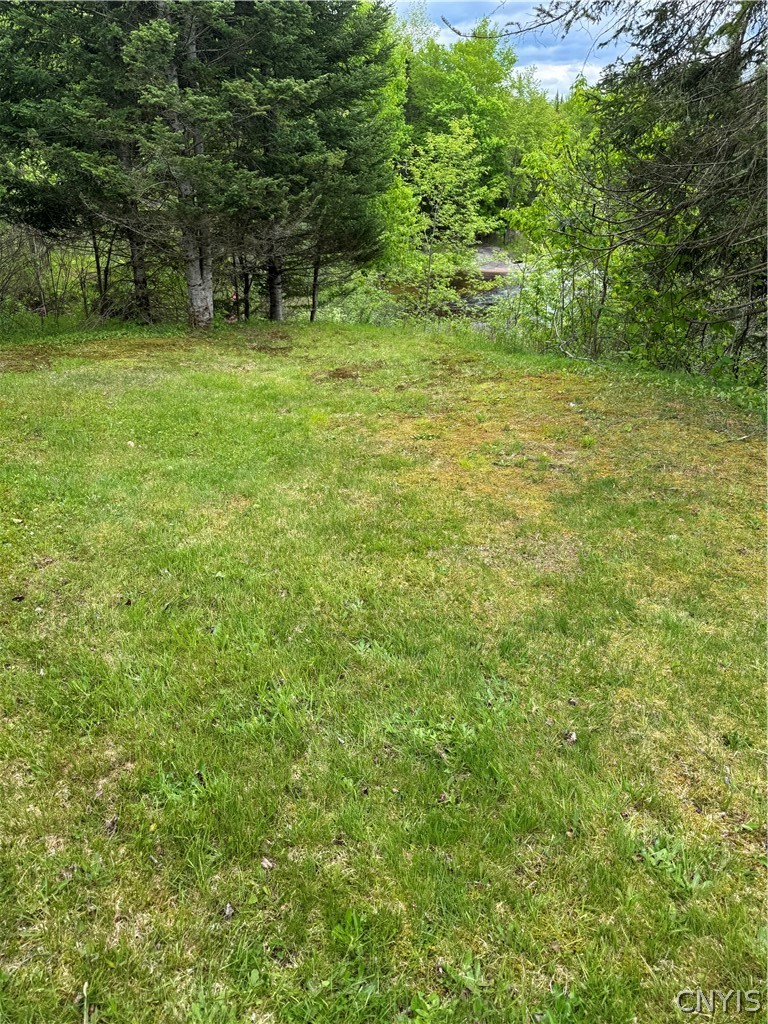 Kirkland Road East Forestport, NY 13338 - Photo 4 of 9