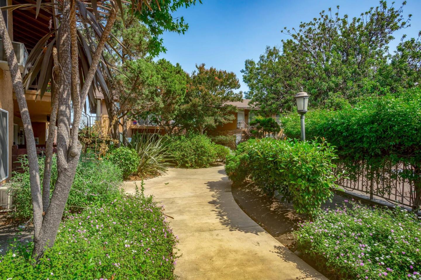 2580 Homestead Road, Unit 5101 Santa Clara, CA 95051 - Photo 28 of 33 a view of a yard with plants and large trees