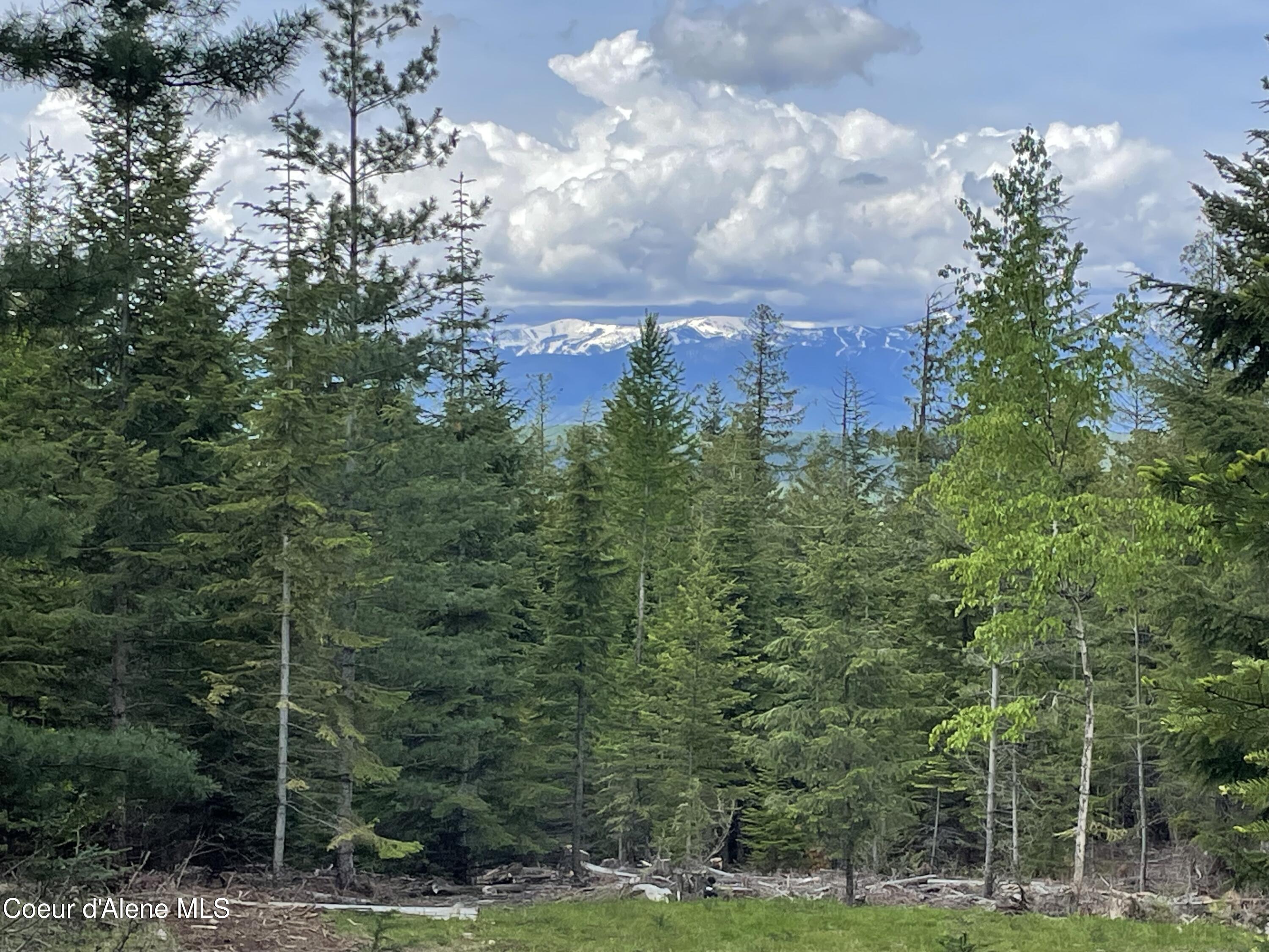 Schwitzer Views