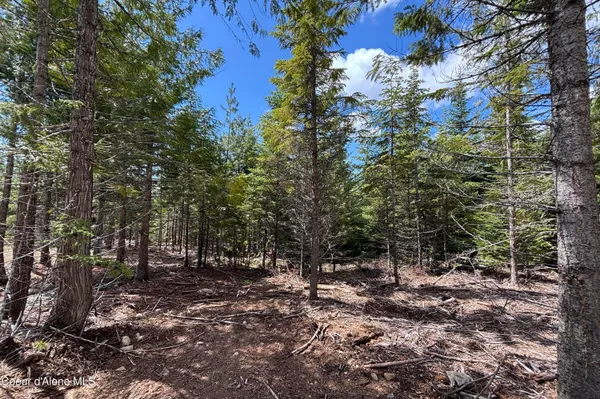 $210,000 | 900 Rising Hawk Rdg Road, Sandpoint, ID 83864