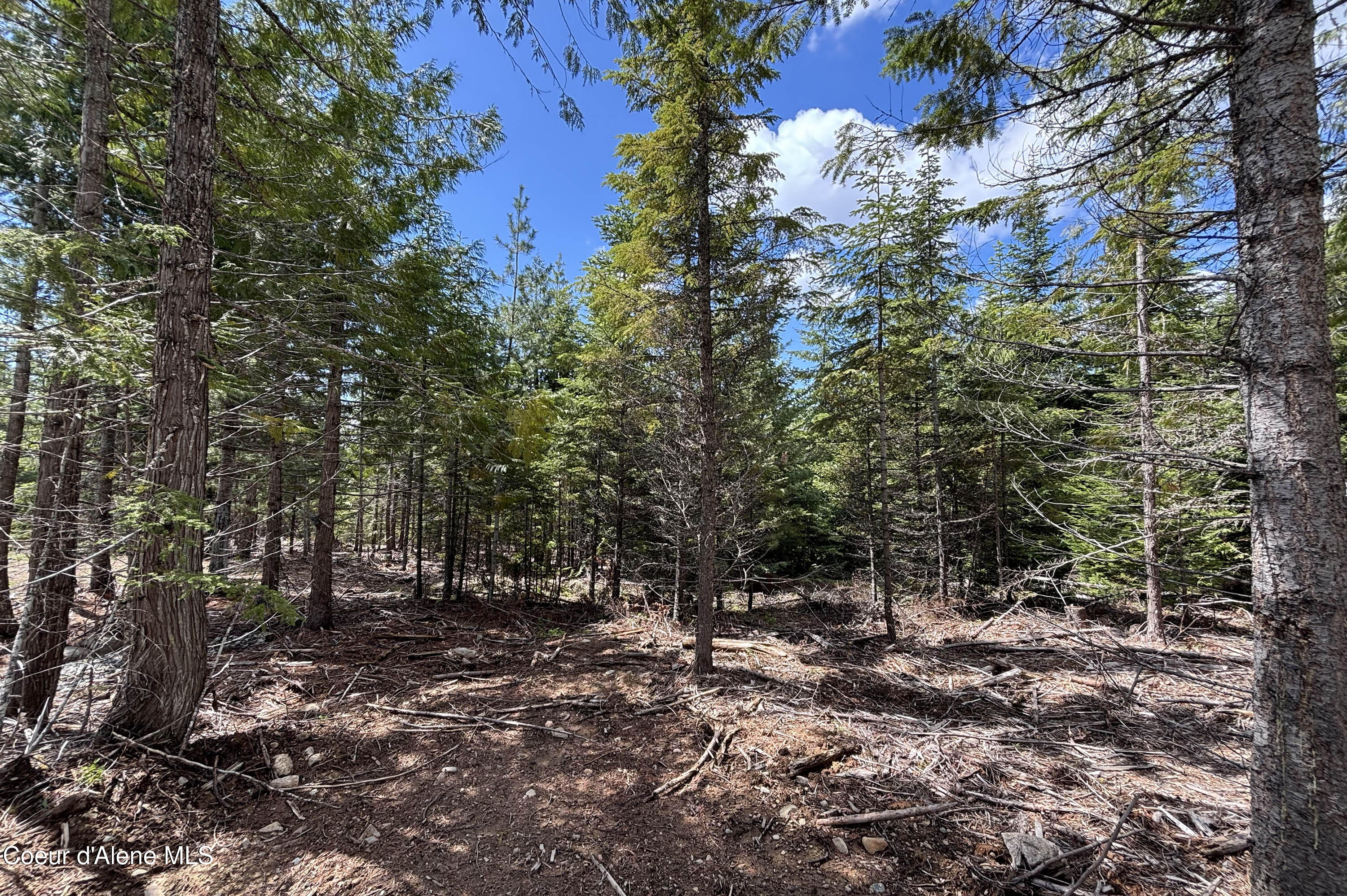 900 Rising Hawk Rdg Road Sandpoint, ID 83864 - Photo 11 of 28 Ground Views