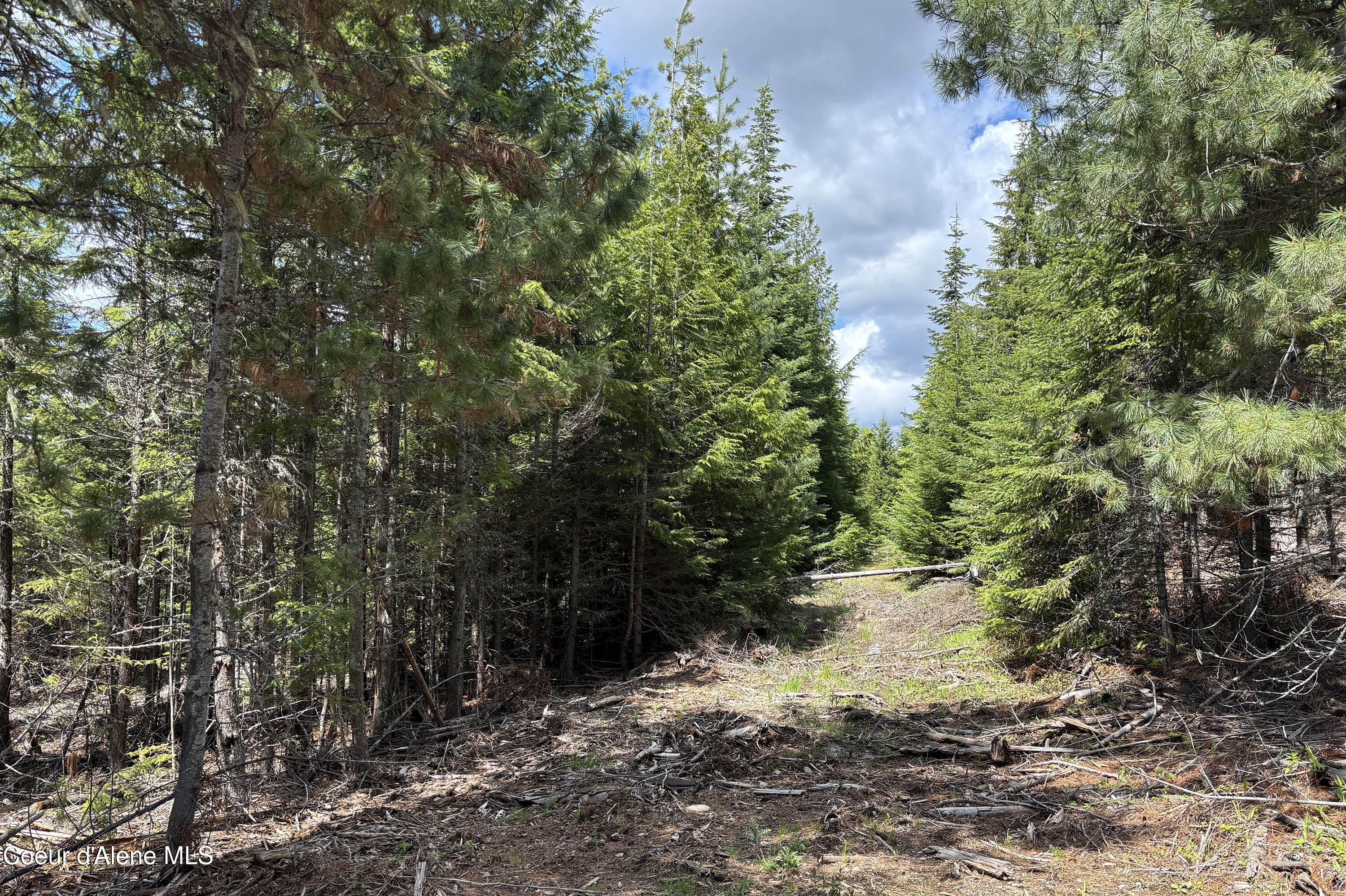 900 Rising Hawk Rdg Road Sandpoint, ID 83864 - Photo 12 of 28 Lot 5 Rising Hawk Ridge Timber