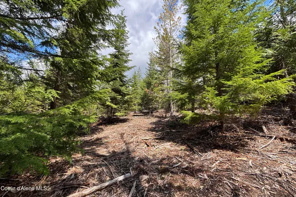 $210,000 | 900 Rising Hawk Rdg Road, Sandpoint, ID 83864