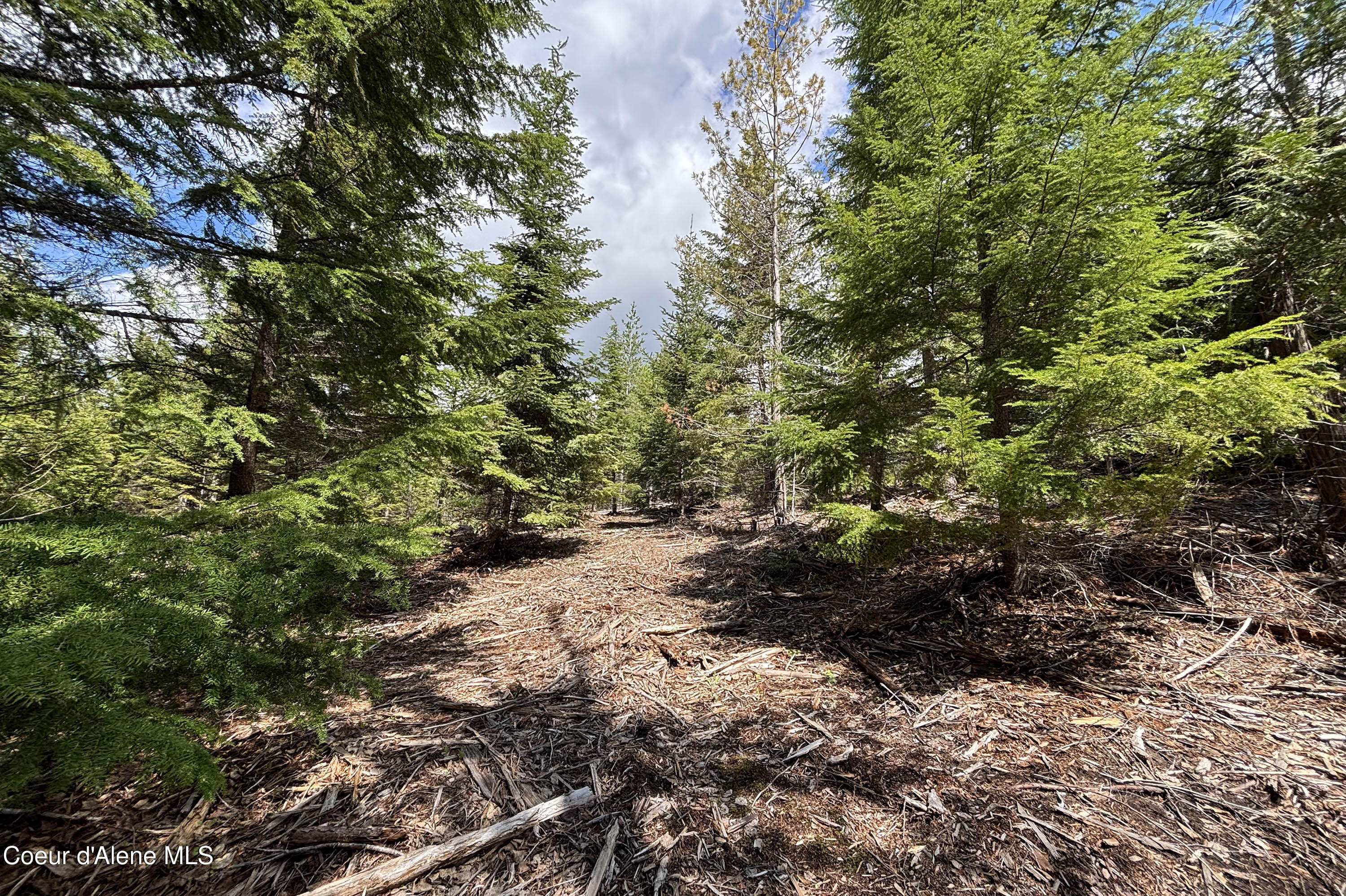900 Rising Hawk Rdg Road Sandpoint, ID 83864 - Photo 13 of 28 Timber Views