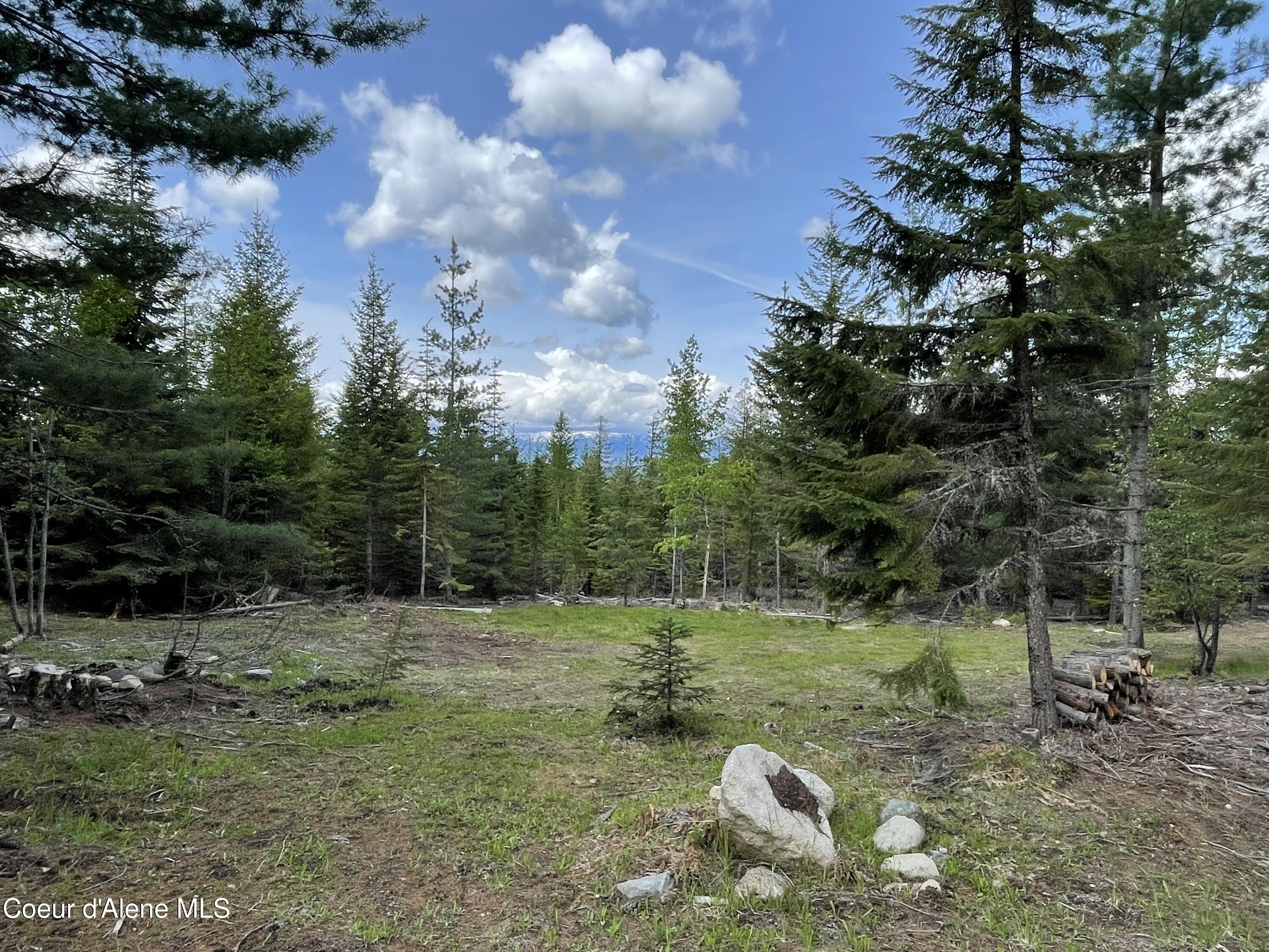 900 Rising Hawk Rdg Road Sandpoint, ID 83864 - Photo 3 of 28 Cleared Site