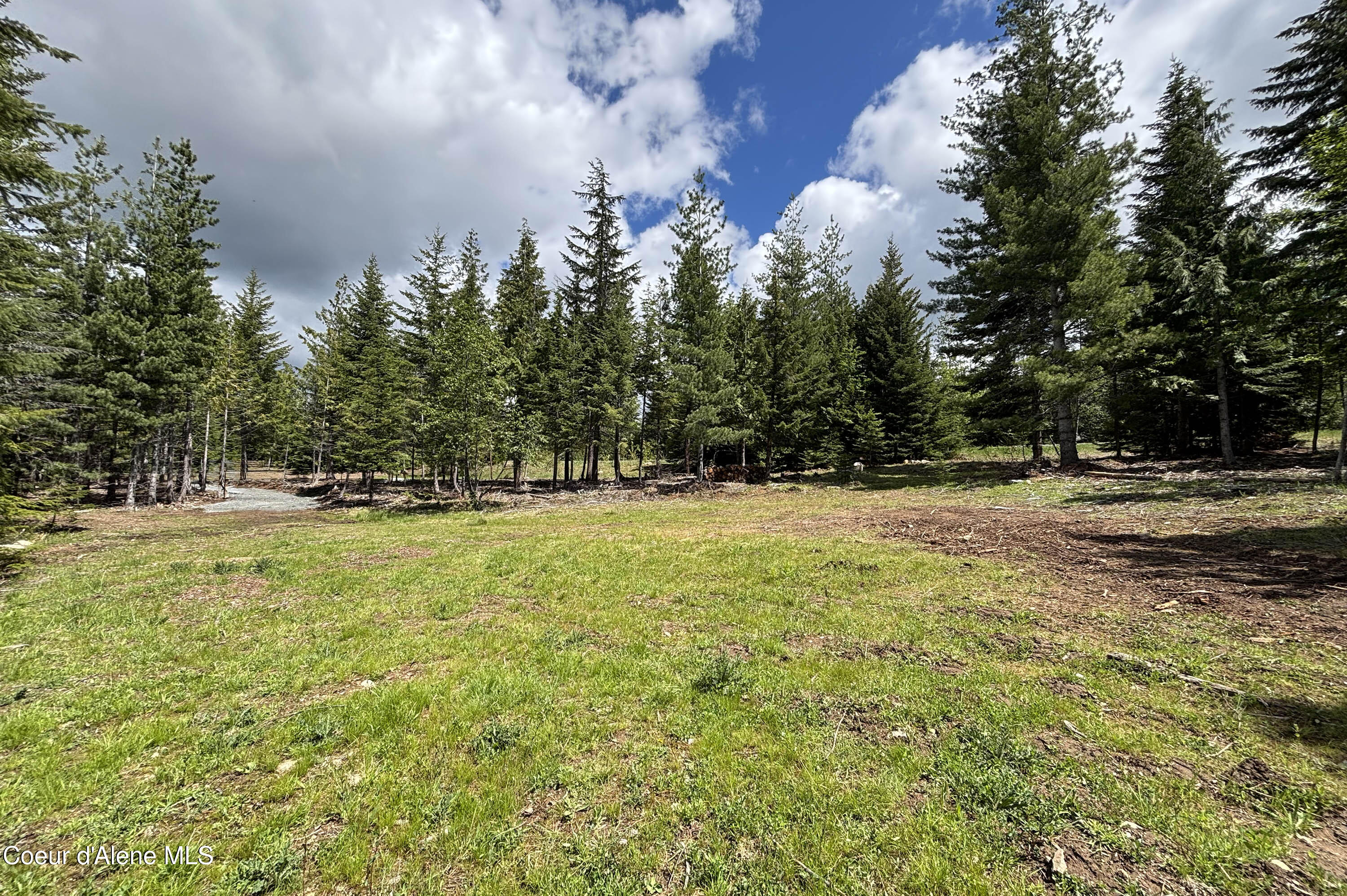 900 Rising Hawk Rdg Road Sandpoint, ID 83864 - Photo 8 of 28 Building Pad Looking to Driveway