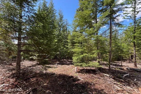 $210,000 | 900 Rising Hawk Rdg Road, Sandpoint, ID 83864