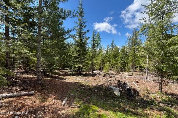 $210,000 | 900 Rising Hawk Rdg Road, Sandpoint, ID 83864