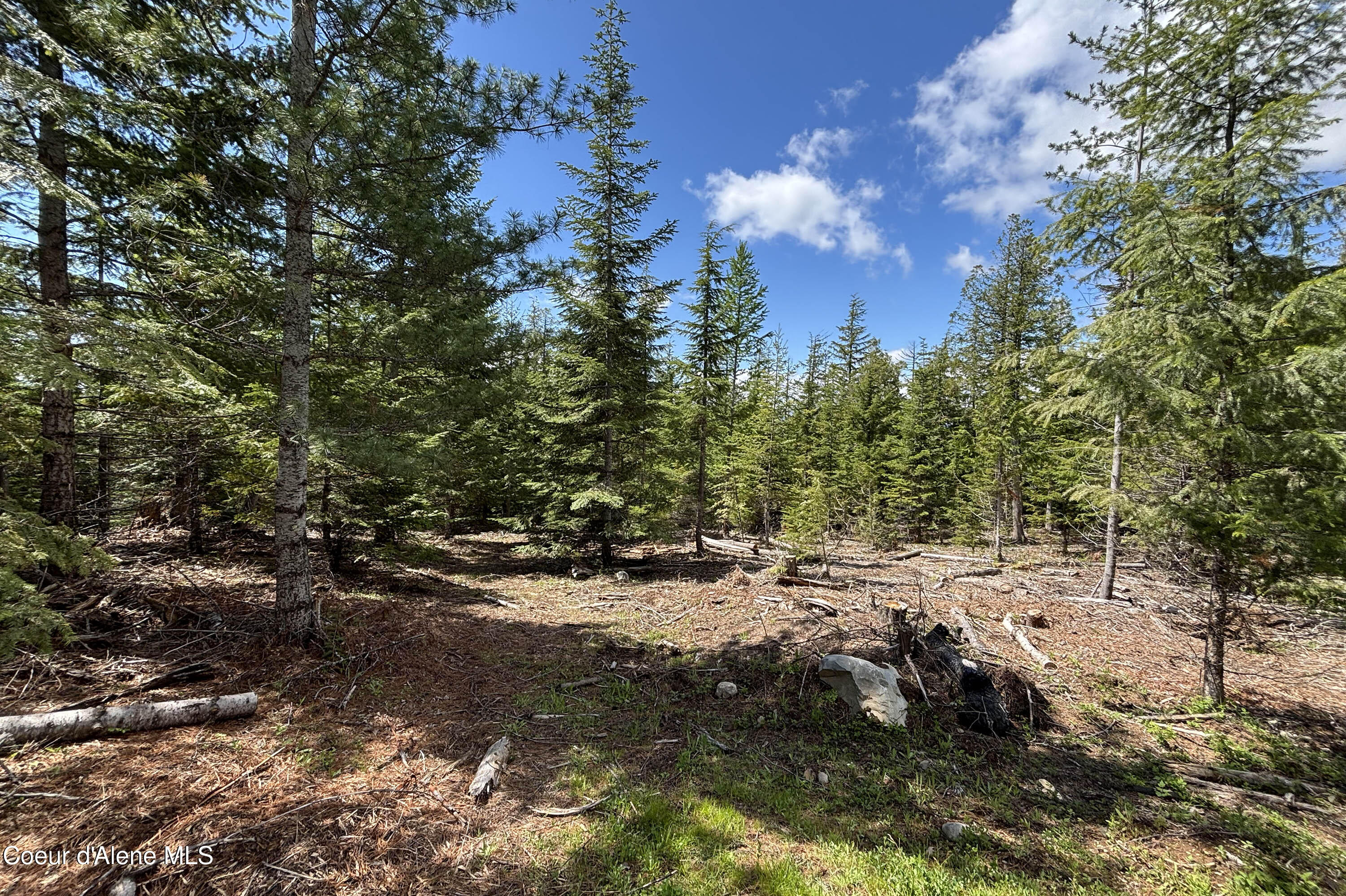 900 Rising Hawk Rdg Road Sandpoint, ID 83864 - Photo 10 of 28 Gorgeous Views
