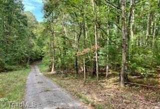 Tbd Walnut Hills Circle Crumpler, NC 28617 - Photo 2 of 4