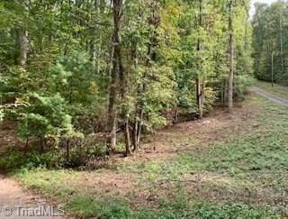 Tbd Walnut Hills Circle Crumpler, NC 28617 - Photo 3 of 4