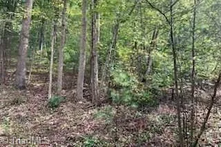 $24,000 | Tbd Walnut Hills Circle, Crumpler, NC 28617