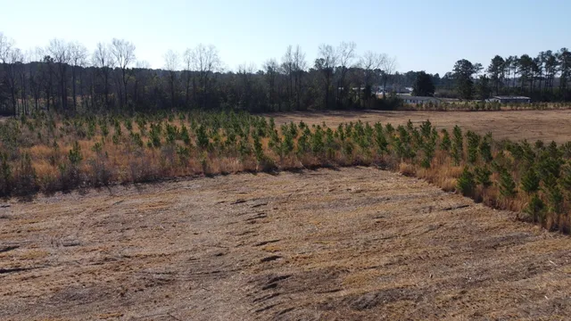 $72,500 | 6 Hwy 6 Cross Sc 29436, Cross, SC 29436