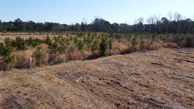 $72,500 | 6 Hwy 6 Cross Sc 29436, Cross, SC 29436