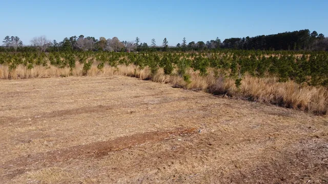 $72,500 | 6 Hwy 6 Cross Sc 29436, Cross, SC 29436