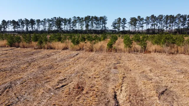 $72,500 | 6 Hwy 6 Cross Sc 29436, Cross, SC 29436