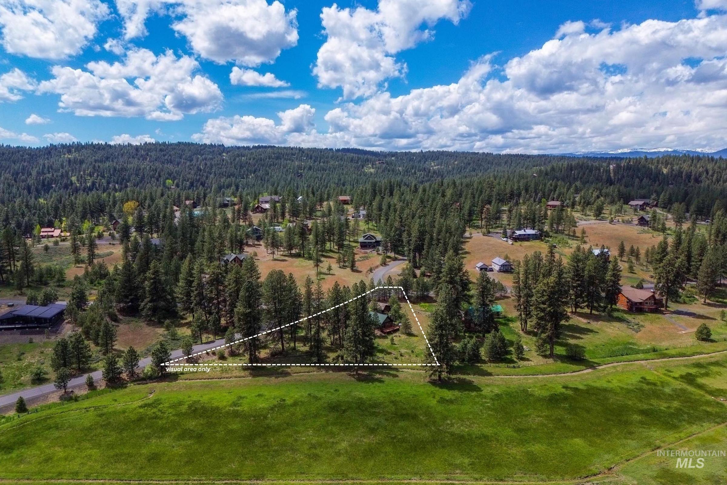 3000 45th Parallel Drive New Meadows, ID 83654 - Photo 5 of 45 Bird's eye view of a heavily wooded area