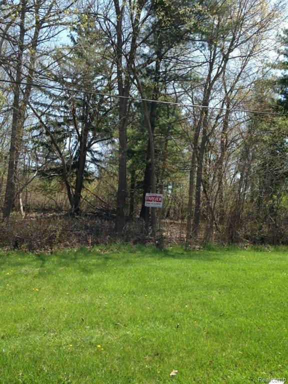 Vac Olmstead Road Rockwood, MI 48173 - Photo 2 of 3