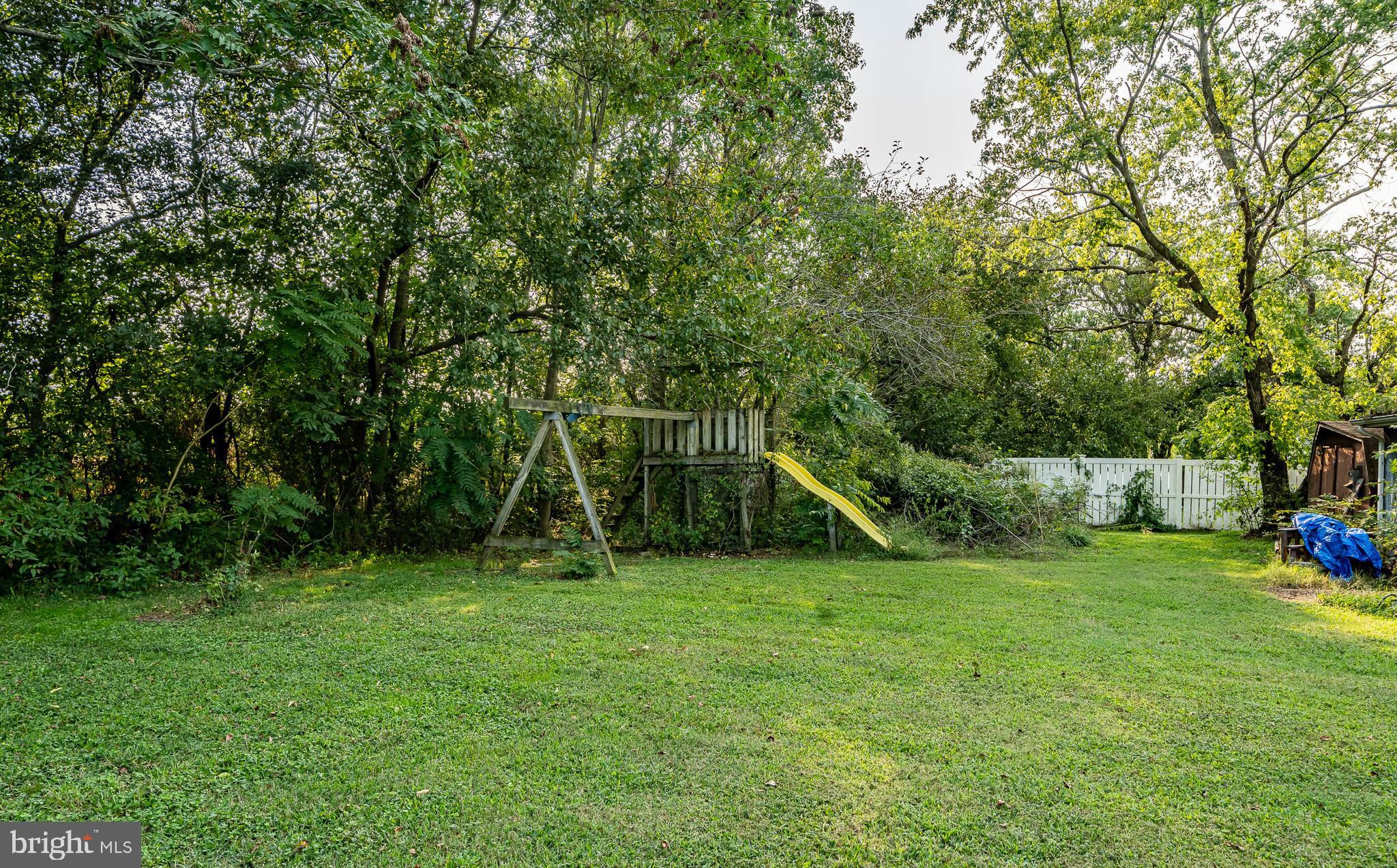 10134 Bacons Road Delmar, DE 19940 - Photo 28 of 41 Backyard