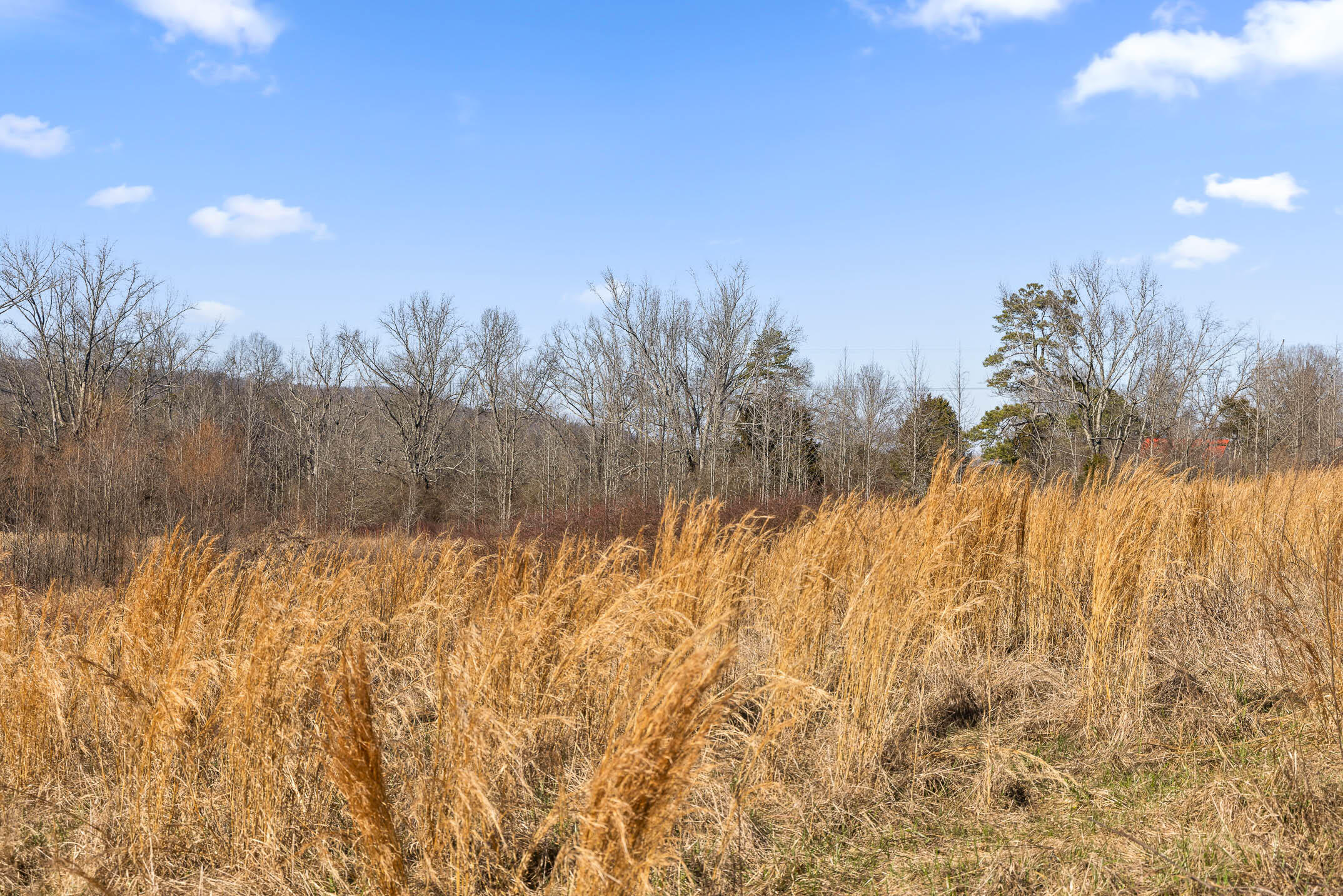 3741 Bill Jones Road Apison, TN 37302 - Photo 16 of 17 Gorgeous fields with mountain views