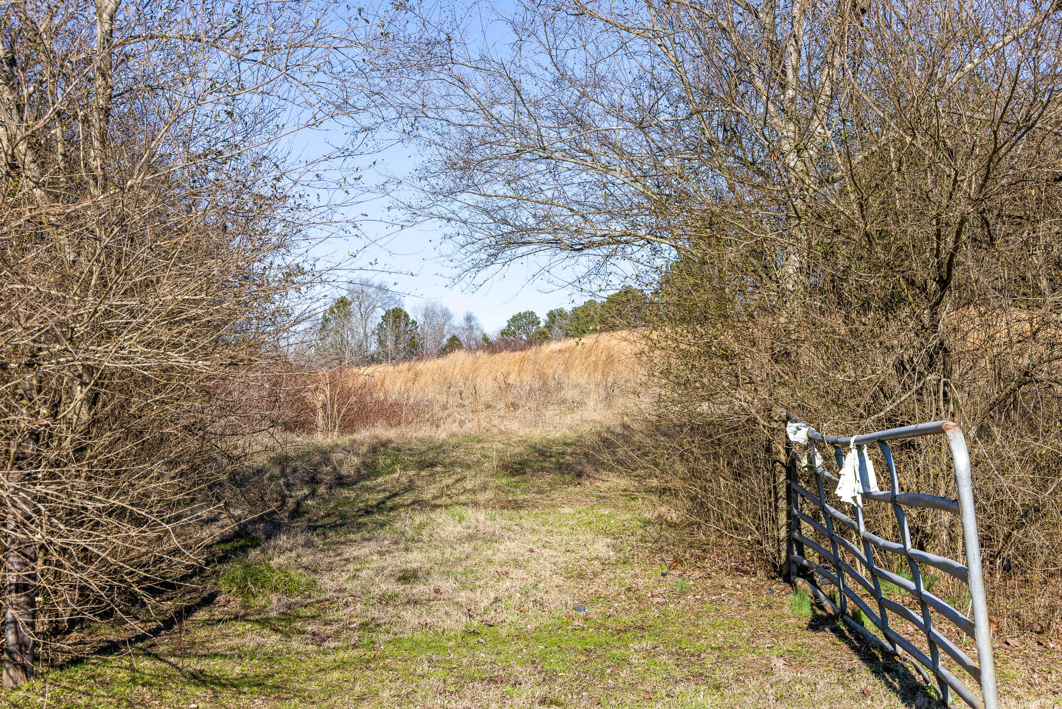 3741 Bill Jones Road Apison, TN 37302 - Photo 5 of 17 Gated Pasture