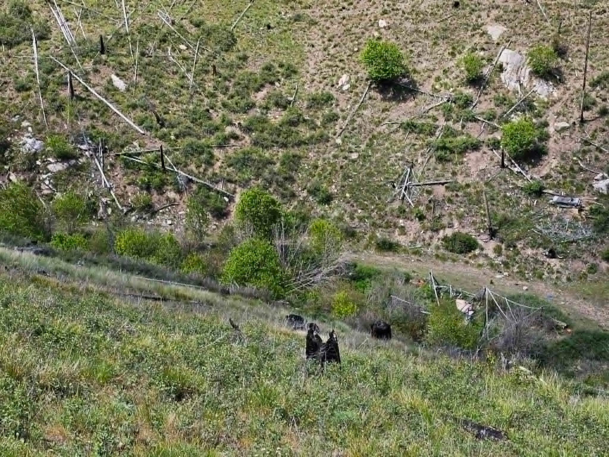 Nhn Blind Creek Draw Road Conner, MT 59827 - Photo 15 of 27 Gallery Image 15