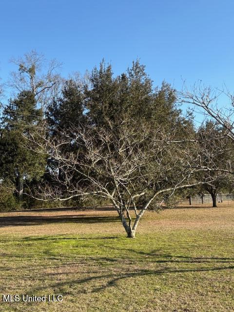 147 Howells Ferry Road Lucedale, MS 39452 - Photo 19 of 48 IMG_9666