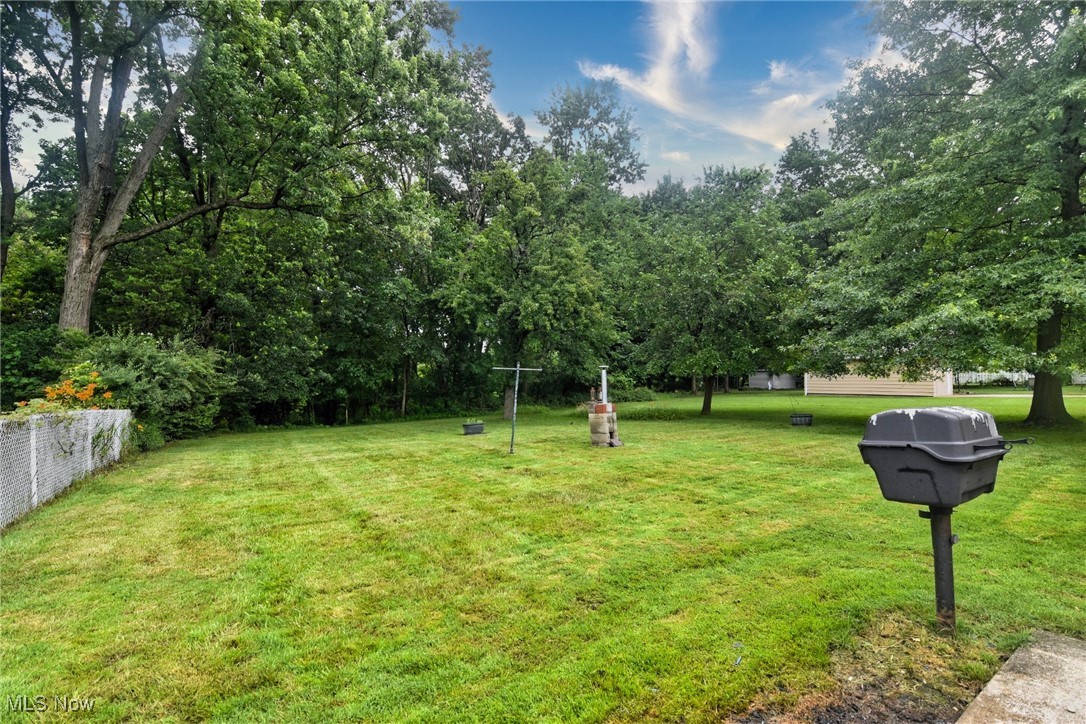9421 David Road Cleveland, OH 44125 - Photo 35 of 36 View of green lawn