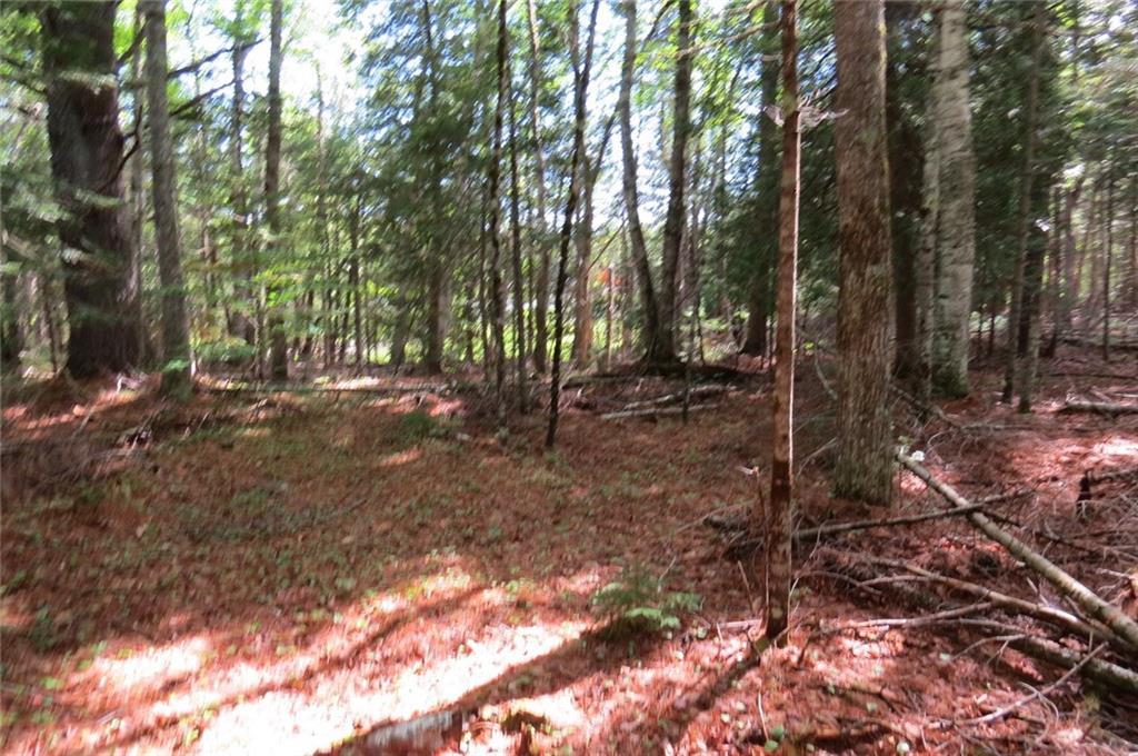 0 Tannery Brook Road Ellsworth, ME 04605 - Photo 22 of 22 Photo