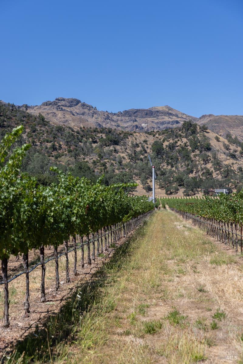 0 Rosedale Road Calistoga, CA 94515 - Photo 20 of 23 Gallery Image 20