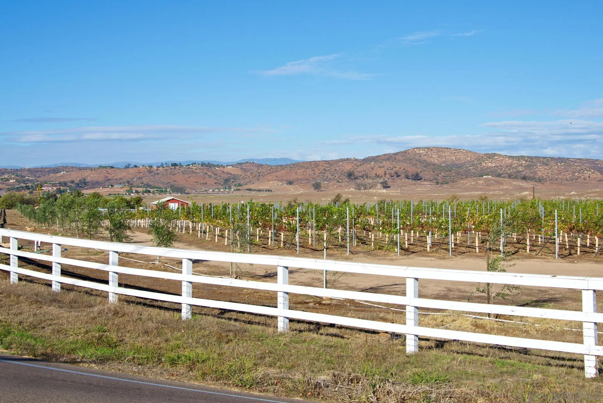 23849 Gymkhana Road Ramona, CA 92065 - Photo 56 of 57 a view of a terrace