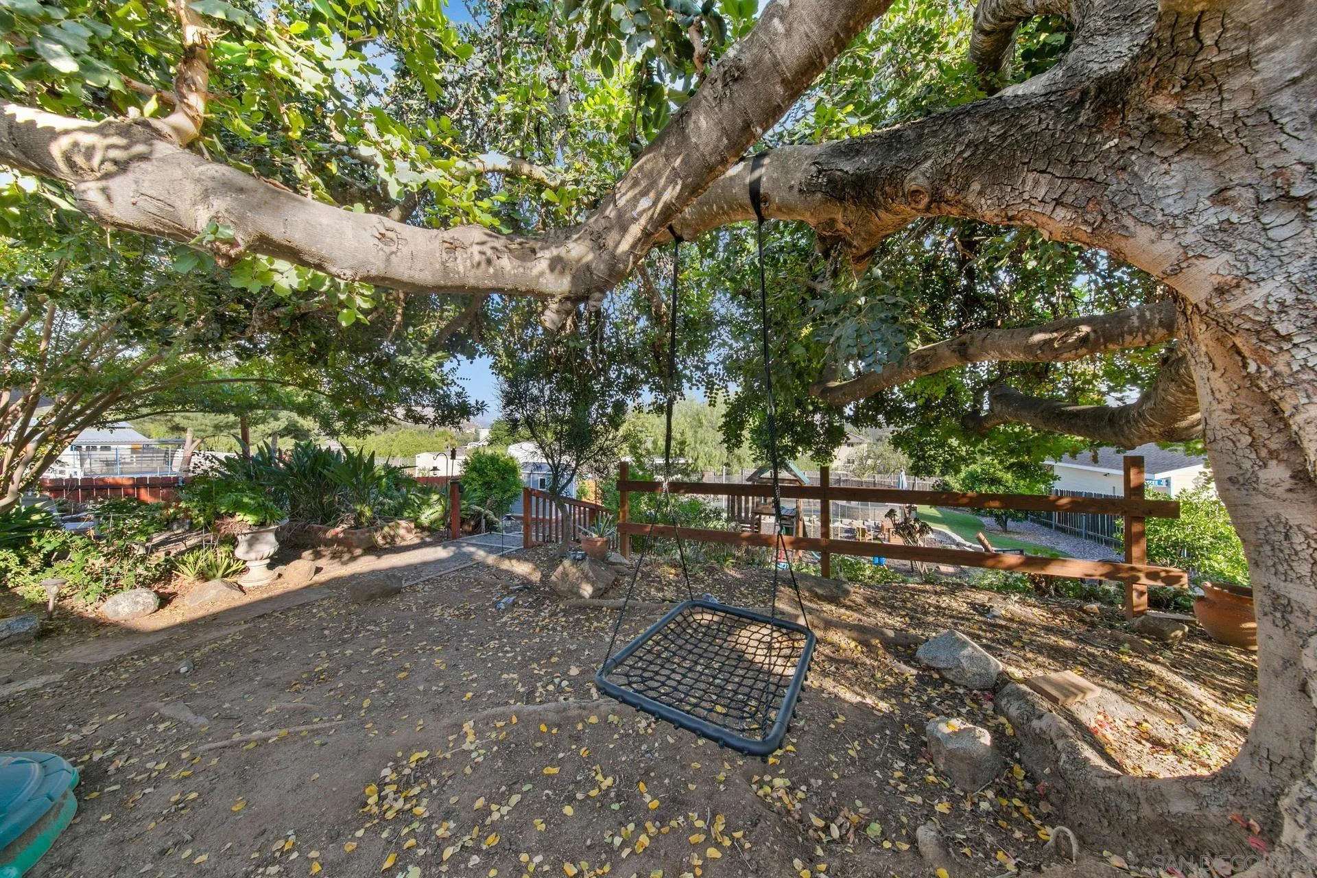 23849 Gymkhana Road Ramona, CA 92065 - Photo 10 of 57 a view of a trees in a yard