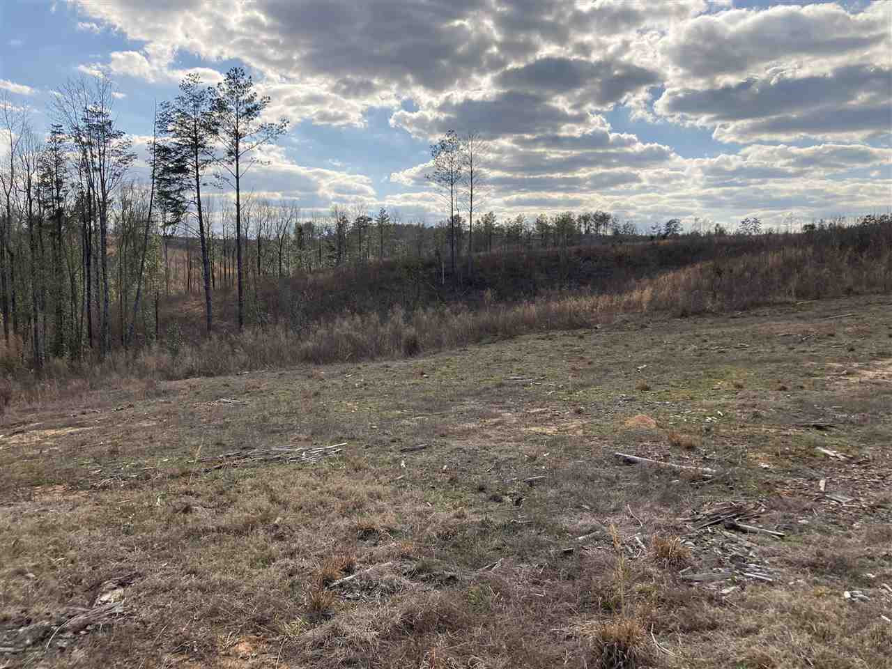 0 Smith County Road 11 Raleigh, MS 39153 - Photo 3 of 14 Photo 3